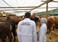 KÂĞITHANE’DE KURBAN PAZARI KAPILARINI AÇTI