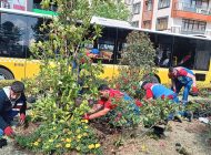 KÂĞITHANE YAZIN RENKLERİNE BÜRÜNDÜ