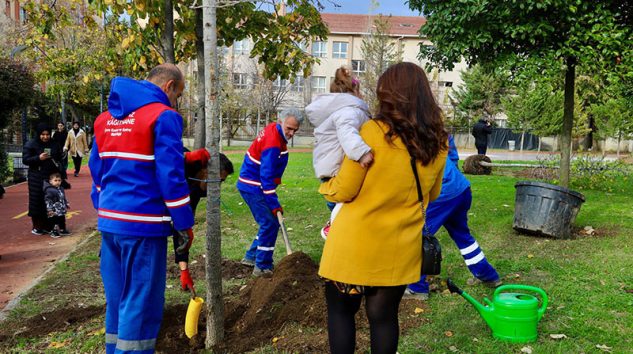 KÂĞITHANE’DE YENİ DOĞAN HER BEBEK İÇİN BİR AĞAÇ DİKİLİYOR