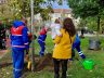 KÂĞITHANE’DE YENİ DOĞAN HER BEBEK İÇİN BİR AĞAÇ DİKİLİYOR