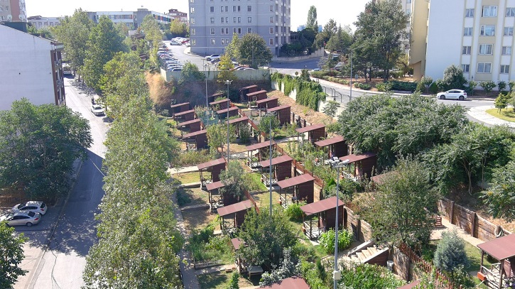 ŞEHRİN STRESİ HOBİ BAHÇELERİNDE AZALIYOR